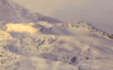 ����ѩɽ�ݵء���ѧ�� (�ս̰���꼶�ϲ�)