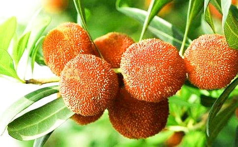 �׶�С�������ν̰�����÷��