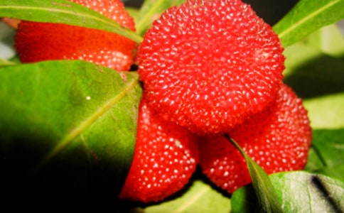 《我爱故乡的杨梅》教学反思