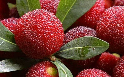 ���Ұ��������÷��������̰�