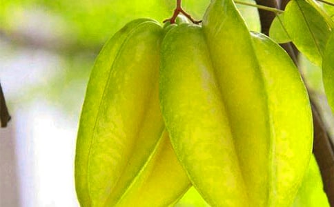 �������ҡ��̰���Ʒ15ƪ