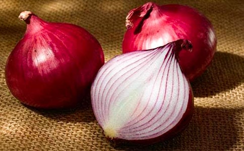 洋葱头历险记读后感(通用20篇)