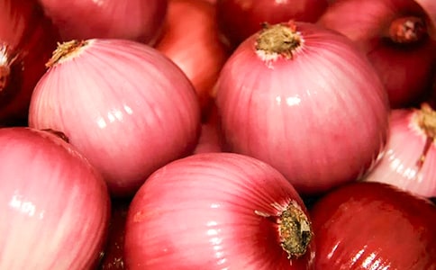 �����ͷ���ռǡ��Ķ����