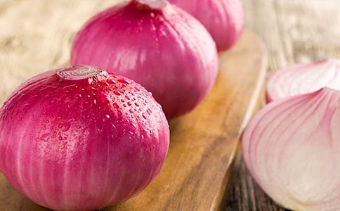 《洋葱头历险记》读后感【集合15篇】