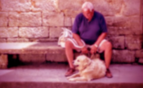 《爷爷一定有办法》读后感