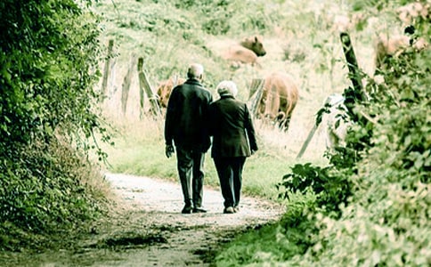 爷爷,我想对您说记叙文7篇