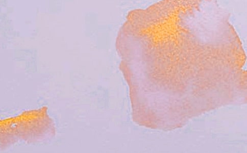 ���´�����������(��������) �̰���ѧ���