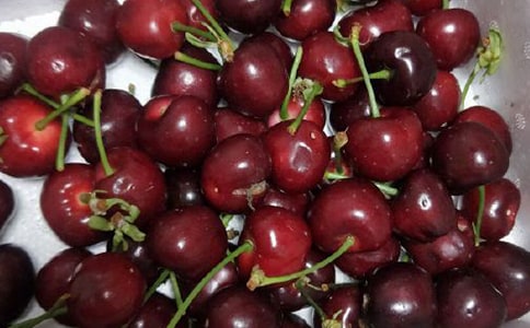 有关摘樱桃的日记7篇