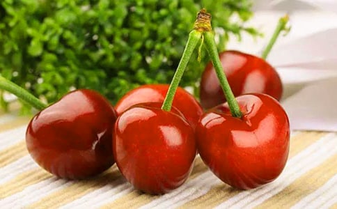 外公是棵樱桃树读后感