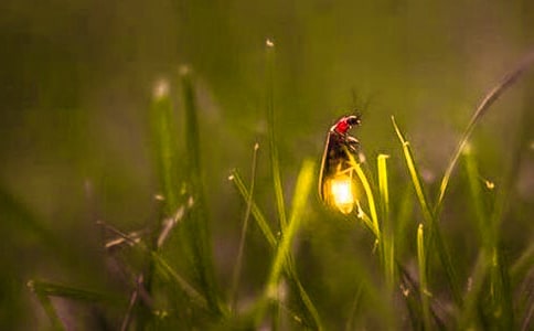 ө���֮Ĺ������Ƽ�