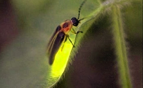 ө���֮Ĺ�ۺ��8ƪ[��]