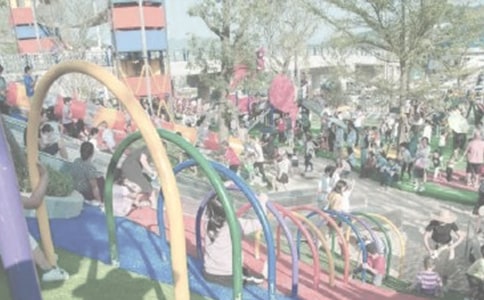 ��������԰�ռǷ��Ľ���9ƪ