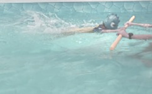 ���ѧ��Ӿ�ռ�11ƪ