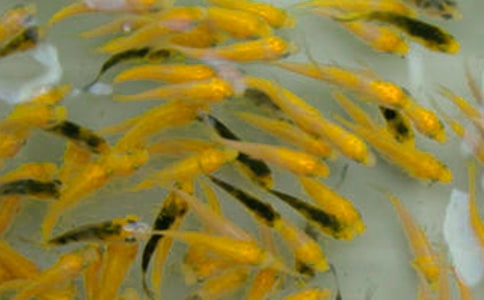 ���繺����ͬ��ѡ14ƪ