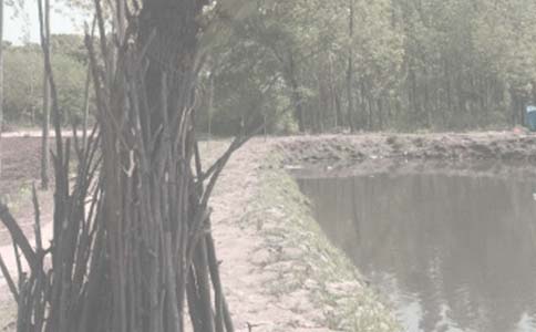 鱼塘租赁合同常用(15篇)