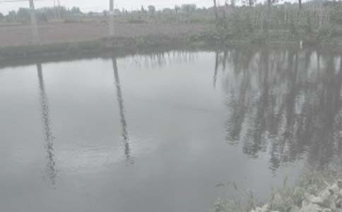 �������޺�ͬ(ͨ��15ƪ)