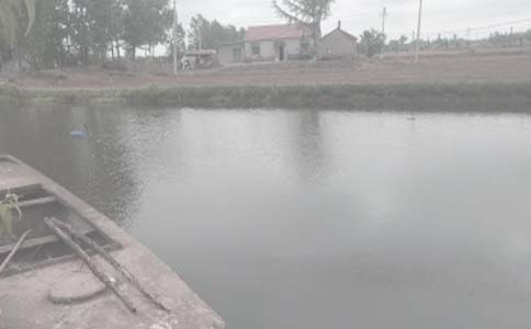 �������޺�ͬ(����15ƪ)