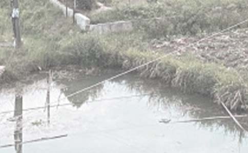 【荐】鱼塘租赁合同