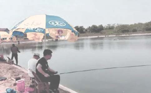 鱼塘租赁合同精华(15篇)