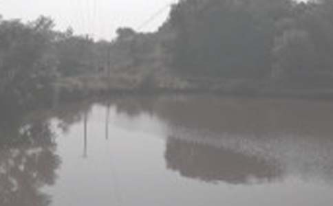 �������������޺�ͬ