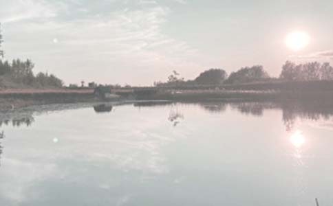 �������޺�ͬ15ƪ