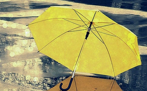 ����ֵ���ɡ�������