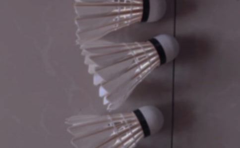 ���ţ�����ë����ܼ�15ƪ