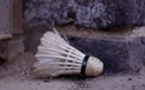 打羽毛球的日记模板合集五篇