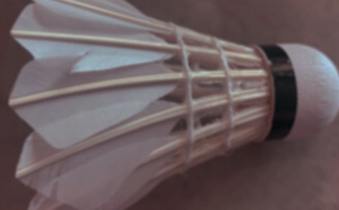 ��ë���ĵ����[����15ƪ]