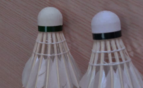 打羽毛球周记集合15篇