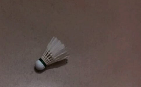 ����ë���ܼǡ��ر�15ƪ��