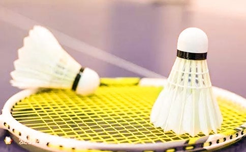 打羽毛球的日记