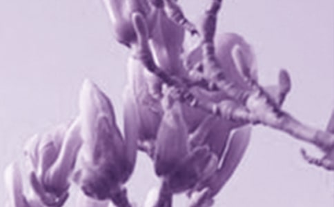 �������Ĺ۲��ռ�