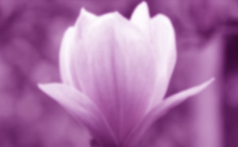 ���������꼶����