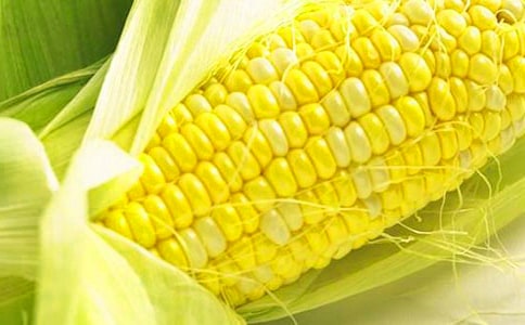 ������Сѧ������