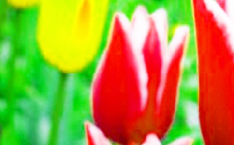 ��������(��������)