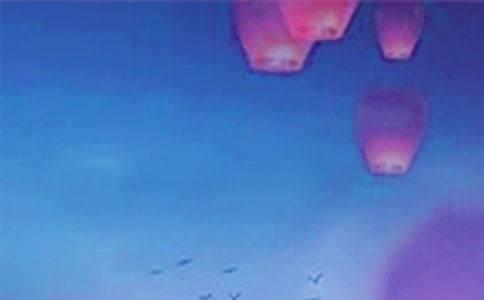 ����Ԫ������