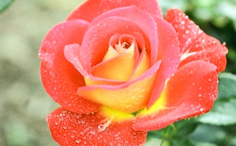 �۲��¼����ռ�