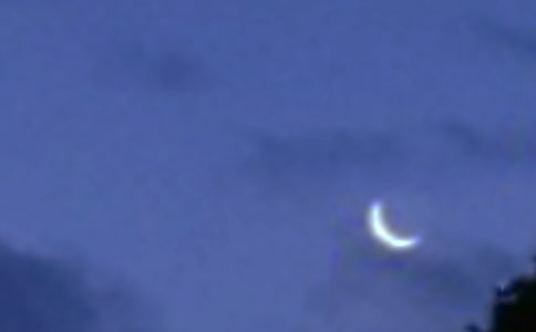 ����Ʒ���������ռ���ƪ