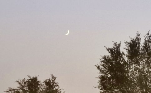 ����ѡ�������������̰�4ƪ