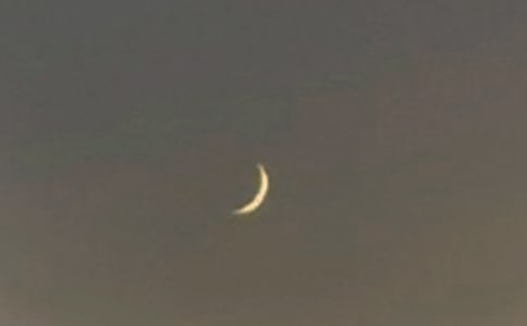 精选月亮三年级作文300字集合10篇