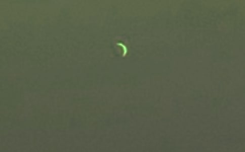 ������������ʿ������о�ѡ[15ƪ]