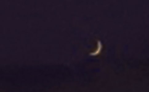 (热门)初中看月亮周记3篇