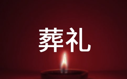 《在莫泊桑葬礼上的演说》 导学案(苏教版八年级下册)