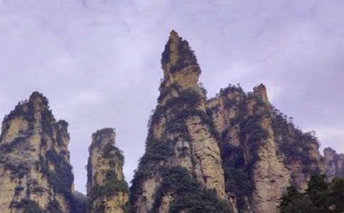 �����żҽ�����ɽ���δ�