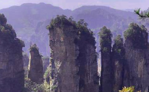 关于张家界四年级作文锦集10篇