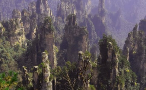 张家界小学作文汇编五篇