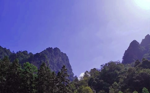 张家界小学作文(范例4篇)