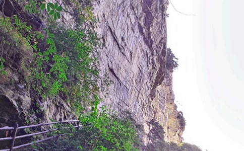 张家界游记记叙文