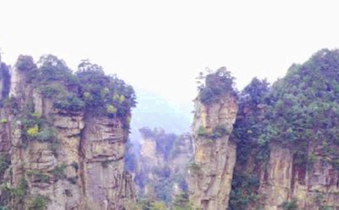 Сѧ���꼶���˵��żҽ�̰�